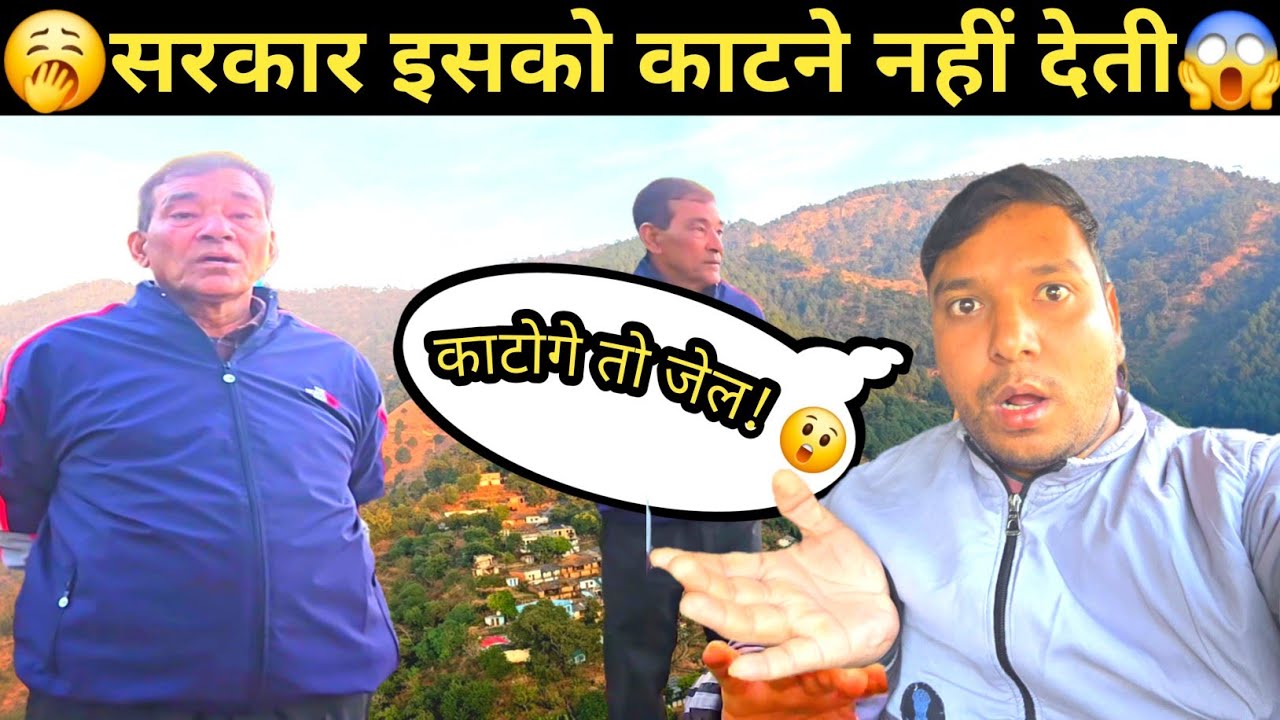 😱इस पर कुल्हाड़ी चली तो अंजाम बुरा होगा || सच्चाई गांव वालों ने बता दी || @RanveerPahadiVlogs 