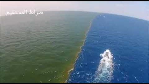 قرآیت بسیار زیبا سوره الرحمان