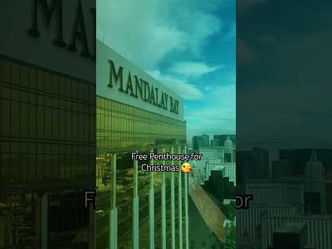KING - FRESH CASINO 🎥 the DIRECTORZ 4k