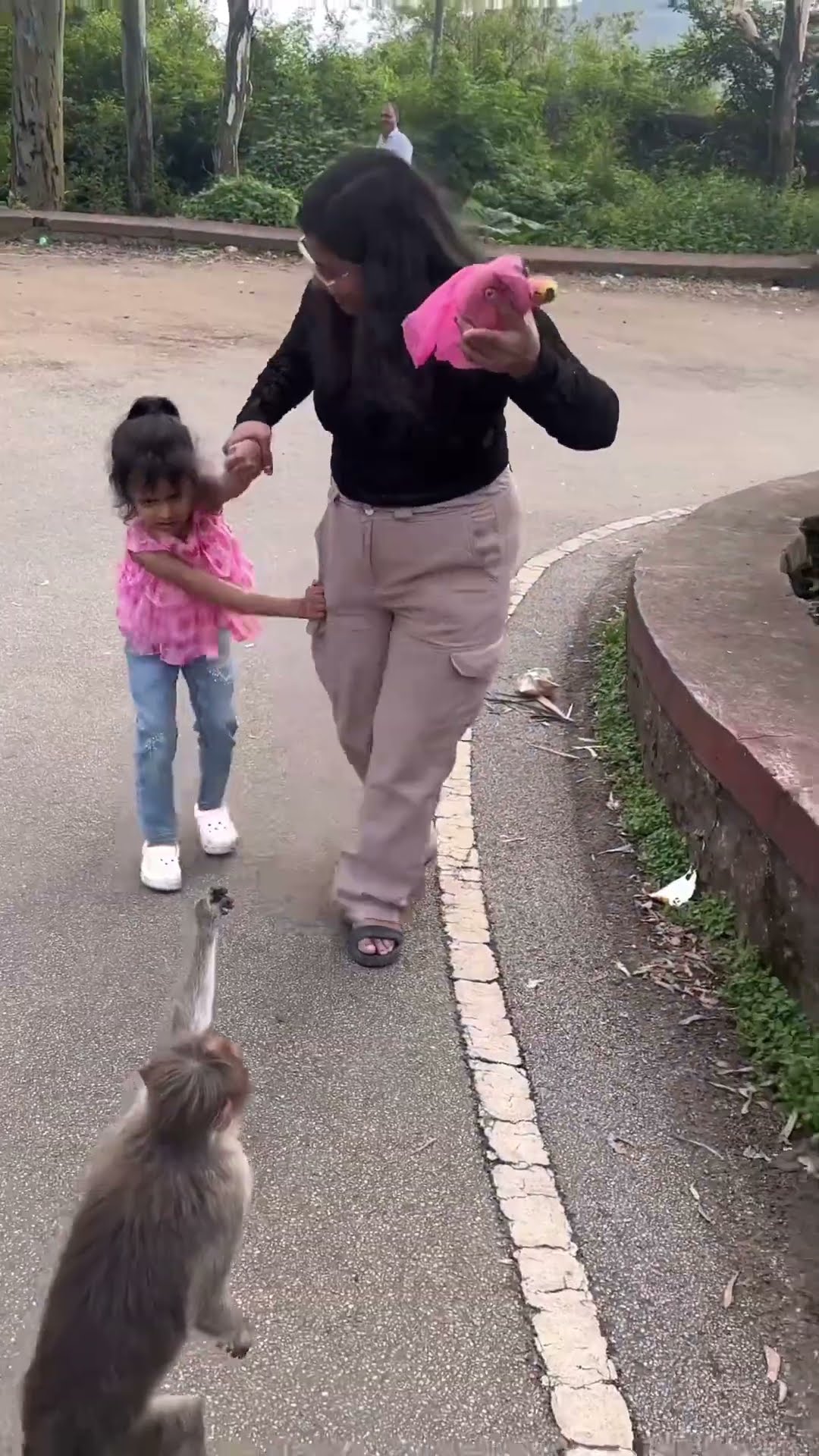 Aru and mumma ne monkey, ko banana Khilaya ? #shorts