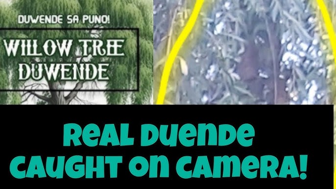 duendes caught on camera｜TikTok Search