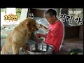 할머니 이제 그만 밀어내실 때도 됐잖아요 ㅣ Cool Grandma Only Needs One Finger To Overpower Dem Giant Doggos LOL