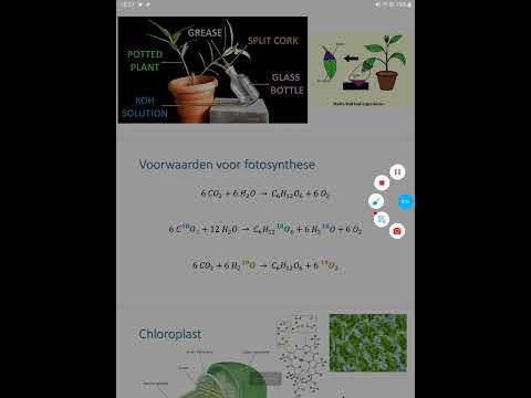 Video: Wat levert fotosynthese op?