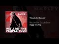 Beach In Hawaii – Ziggy Marley live | We Are The People Tour, 2017