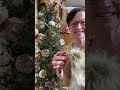 How I Decorated My Living Room Tree For Fall