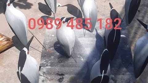 cò vạc hiệc có xốp @. 0989 485 182