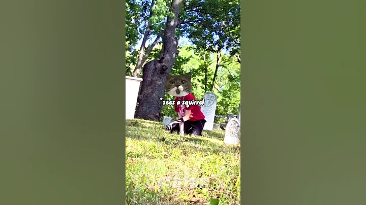 shift caught on cam╶⃝⃤#therian #therianshift #quads #quadrobics #alterhuman #therianthropy #otherkin