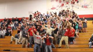 DAHS Winter Sports Teams Harlem Shake Video long version