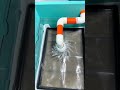 Aquarium Filtration #aquarium #fishkeepinghobby #aquascape #aquascapelowtech #fishaquarium