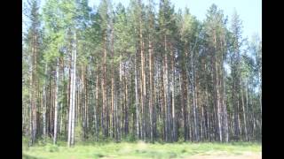 видео: От Усть-Кабырзы и до ост. Ольхон! Фильм 4-ый картинка: От Усть-Кабырзы и до ост. Ольхон! Фильм 4-ый