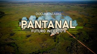 PANTANAL – Futuro Incerto II