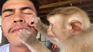 Smart Monkey Zueii Really Love Grooming My Beard