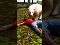 How To Survive Bear Attack?