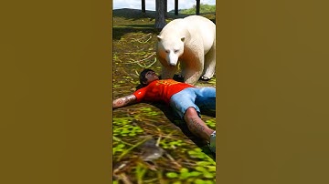 How To Survive Bear Attack?