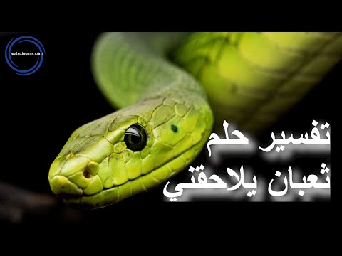 تفسير حلم ثعبان يلاحقني