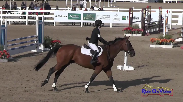 175S Lauren Jester on Slingshot JR Novice Show Jum...