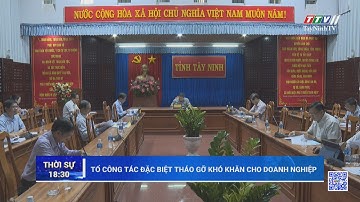 Tổ công tác đặc biệt tháo gỡ khó khăn cho doanh nghiệp | TayNinhTV