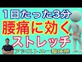 【腰痛　ストレッチ】1日3分の夜ストレッチでぐっすり快眠と腰痛解消【神戸市　腰痛】