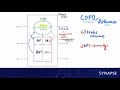 USMLE Step 1 - Pulsus Paradoxus