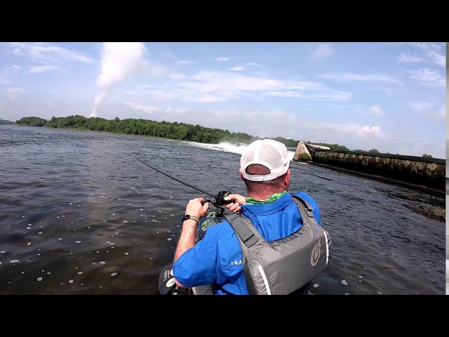 Short Trip to the Susquehanna resulted in a bunch of feisty Smallmouth Bass  