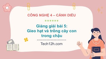 Giảng bài 5: Gieo hạt và trồng cây con trong chậu | Bài giảng công nghệ 4 cánh diều