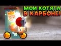 МОИ КОТЯТА В КАРБОНЕ! - CATS: Crash Arena Turbo Stars