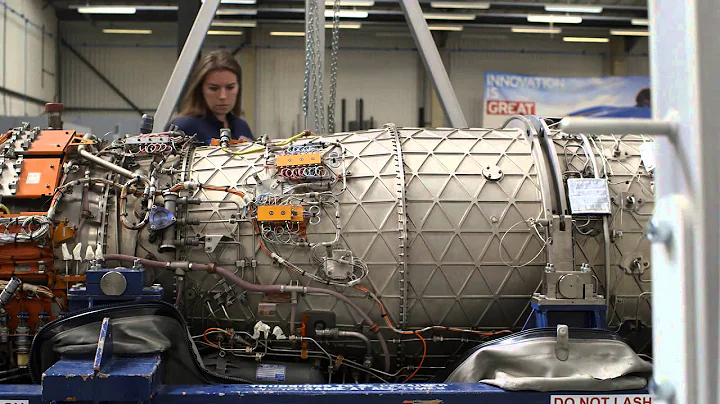 My Life in Motion: Bloodhound Project Sarah Covell