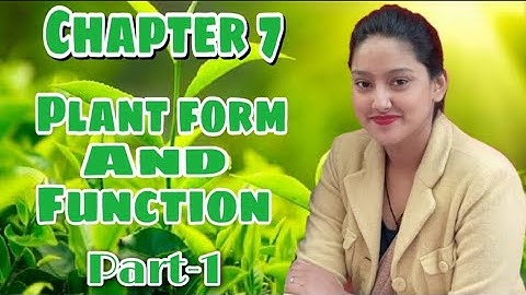 Class 6th, science, chapter.7 Plant ; forms and function (part - 1) by rinki mam... Must watch