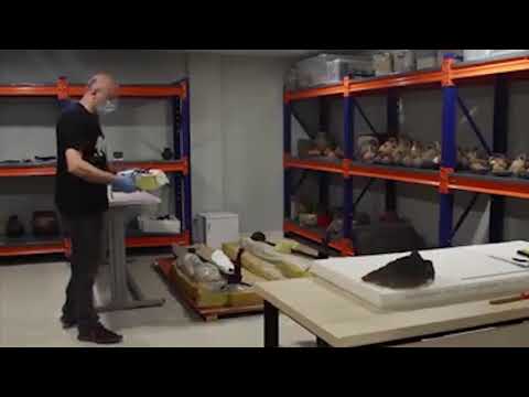 ვანის არქეოლოგიური მუზეუმი დამთვალიერებლის მოლოდინშია