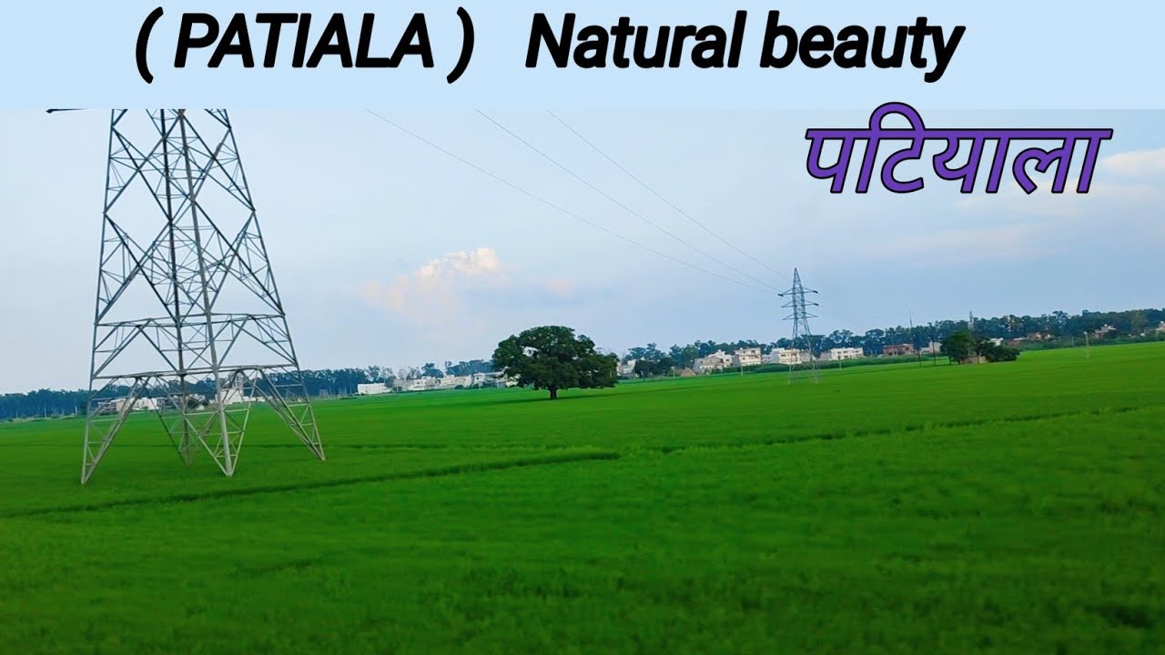 Patiala Green And Clean / ਪਟਿਆਲਾ/पटियाला की हरियाली Patiala modern city