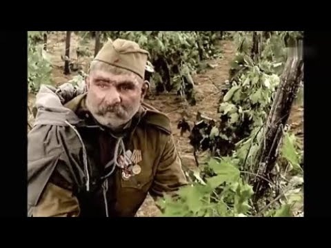 \"ჯარისკაცის მამა\" - ვაზის სიყვარული (jariskacis mama)