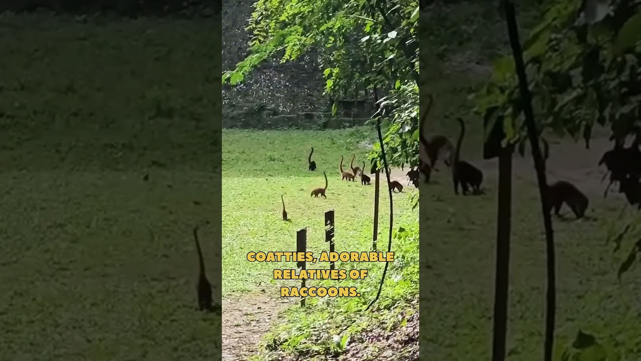 🚨 NO WAY! Are These Real Dinosaurs?! 