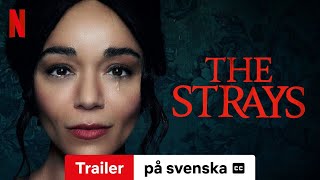 The Strays (Trailer med undertexter) | Trailer på svenska | Netflix