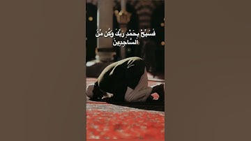 الراحة النفسية 😴🎧 أجمل حالات واتس اب قرآن كريم بصوت جميل جدا تلاوة خاشعة Quran status ♥️ 🕊