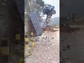 جحش البراري 