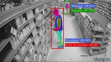 Veesion AI software om diefstal in de retail tegen te gaan