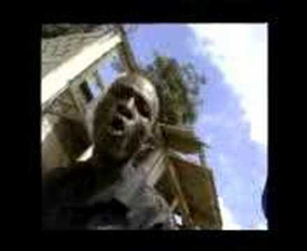 Ra-syn : Né sous un arbre