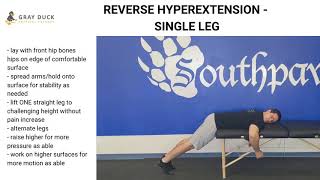 Reverse Hyperextension - Single Leg