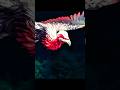 Leo Beheads the Eagle and a Dead Man Appears