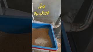آٹا چکی لگاؤ بزنس برہاؤ #superengineering works okara