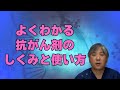 【よくわかる】抗がん剤のしくみと使い方