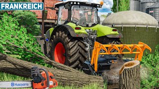 LS22 Frankreich #19: BAUM fällt! Einsatz mit Kettensäge und Fräse | LANDWIRTSCHAFTS SIMULATOR 22