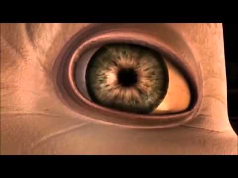 Deja - Meore Me / მეორე მე (Music Video)