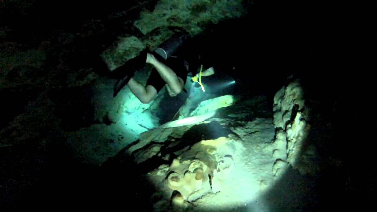 Bat Cave Scuba Dive Dos Ojos Cenote, Mexico YouTube