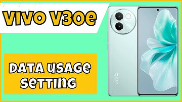 Vivo V30e Check Wifi and Data Usage || Data usage setting || How to check daily data usage {V2339}