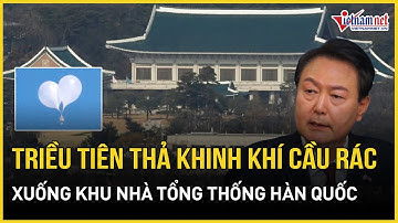 Giữa lúc căng thẳng leo thang, Triều Tiên vẫn thả thằng bóng bay rác vào khu nhà tổng thống Hàn Quốc