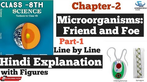 Class-8th NCERT Science || Ch-2 | Microrganisms: Friends and Foe | Hindi Explanation |Part-1