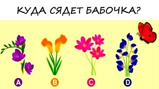 Психологический тест! Невероятно точный тест на отношения: на какой цветок сядет бабочка?