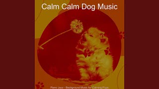 Simplistic Ambience for Doggy Training