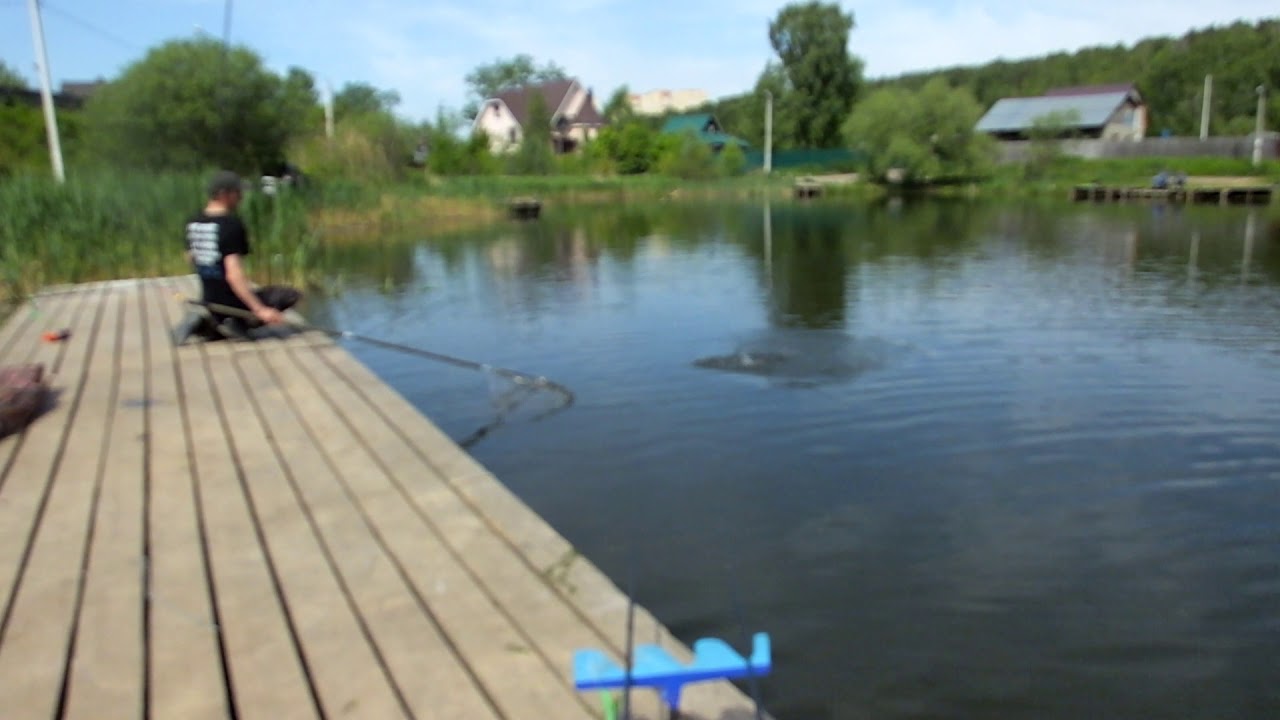 Коргашино платная рыбалка. Рыбалка в Пирогово Коргашино. Пирогово, деревня Коргашино. Мешково пруд.